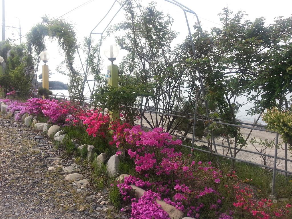 Yongdu Beach Pension 보령 외부 사진