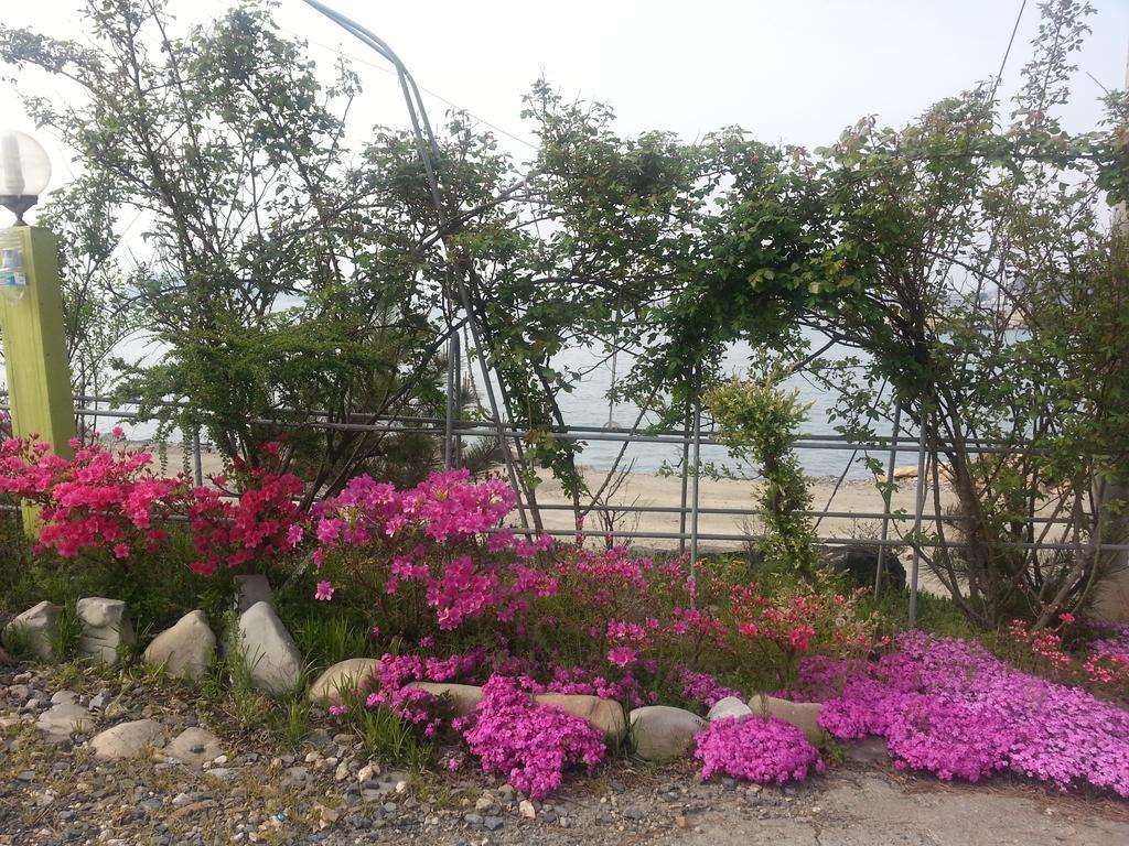 Yongdu Beach Pension 보령 외부 사진