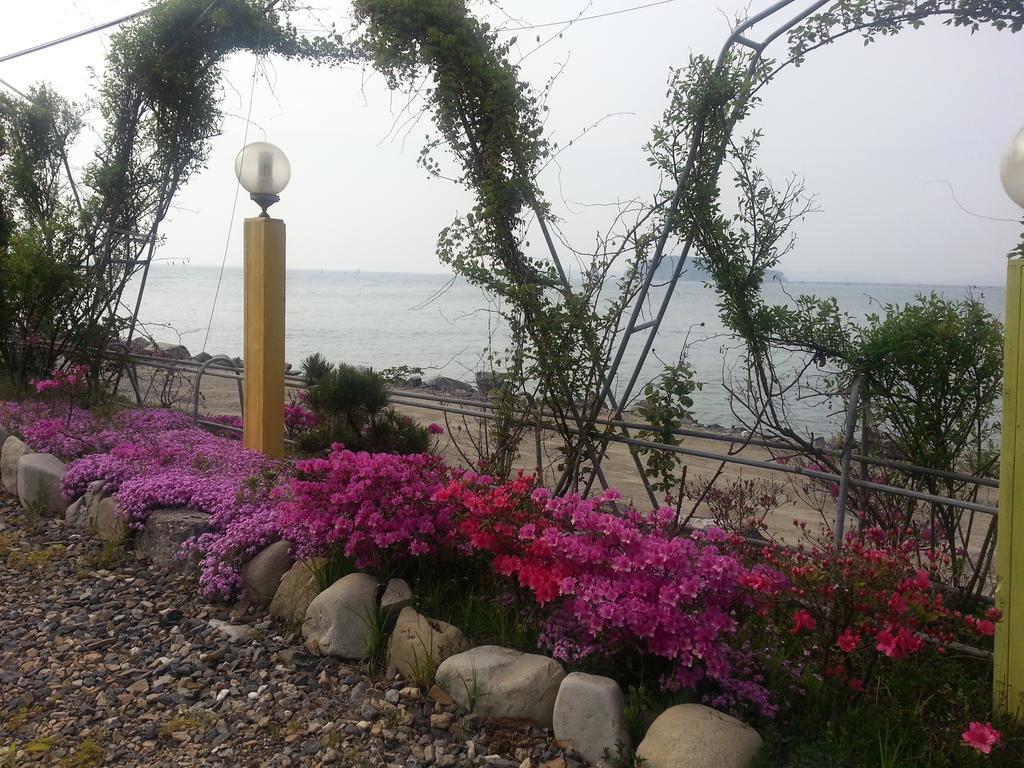 Yongdu Beach Pension 보령 외부 사진